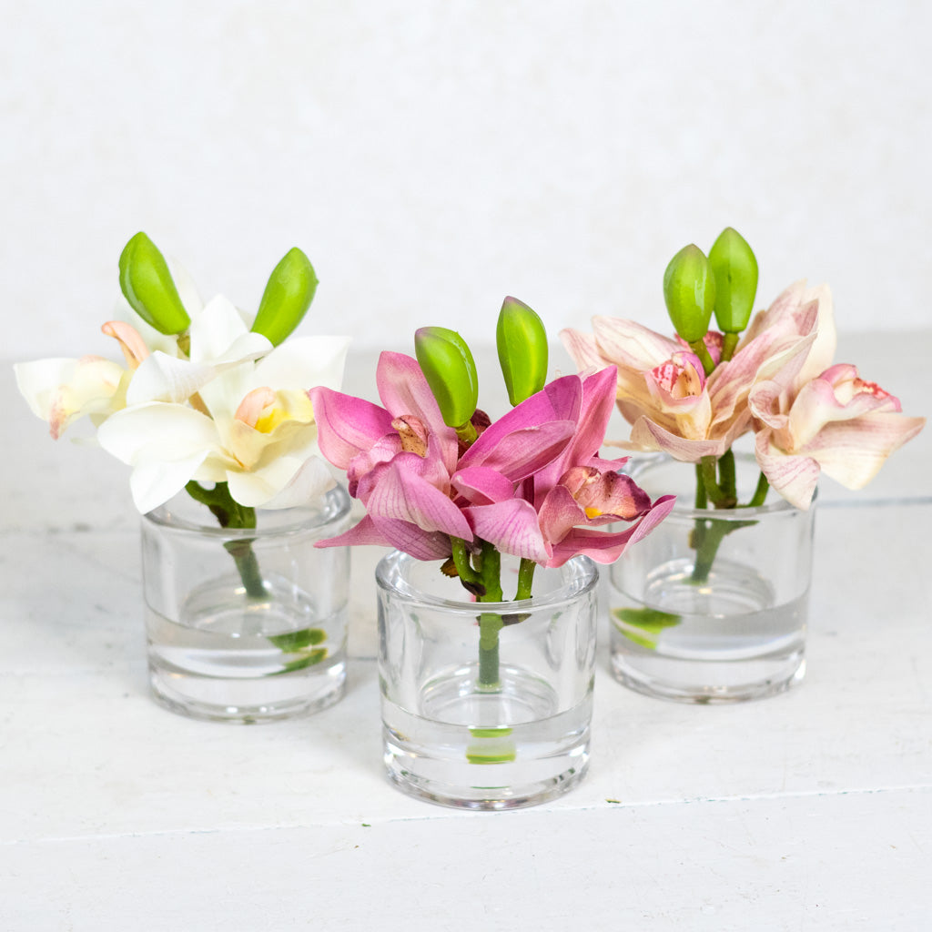 Rose Cymbidium in Illusion Glass Vase