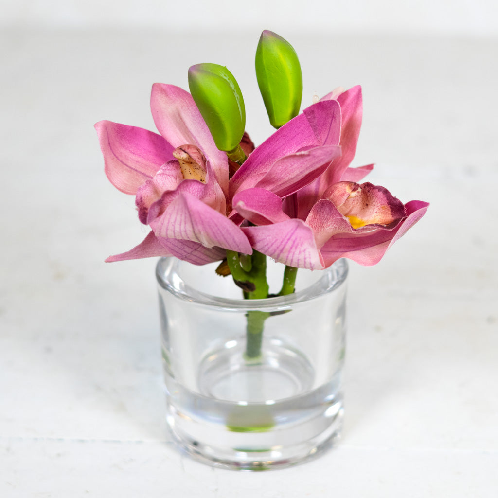 Rose Cymbidium in Illusion Glass Vase