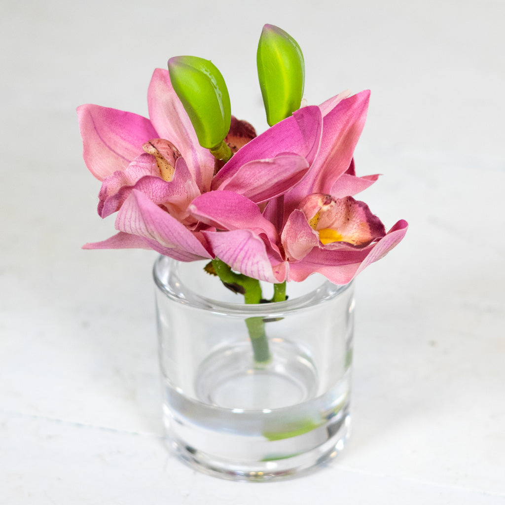 Rose Cymbidium in Illusion Glass Vase