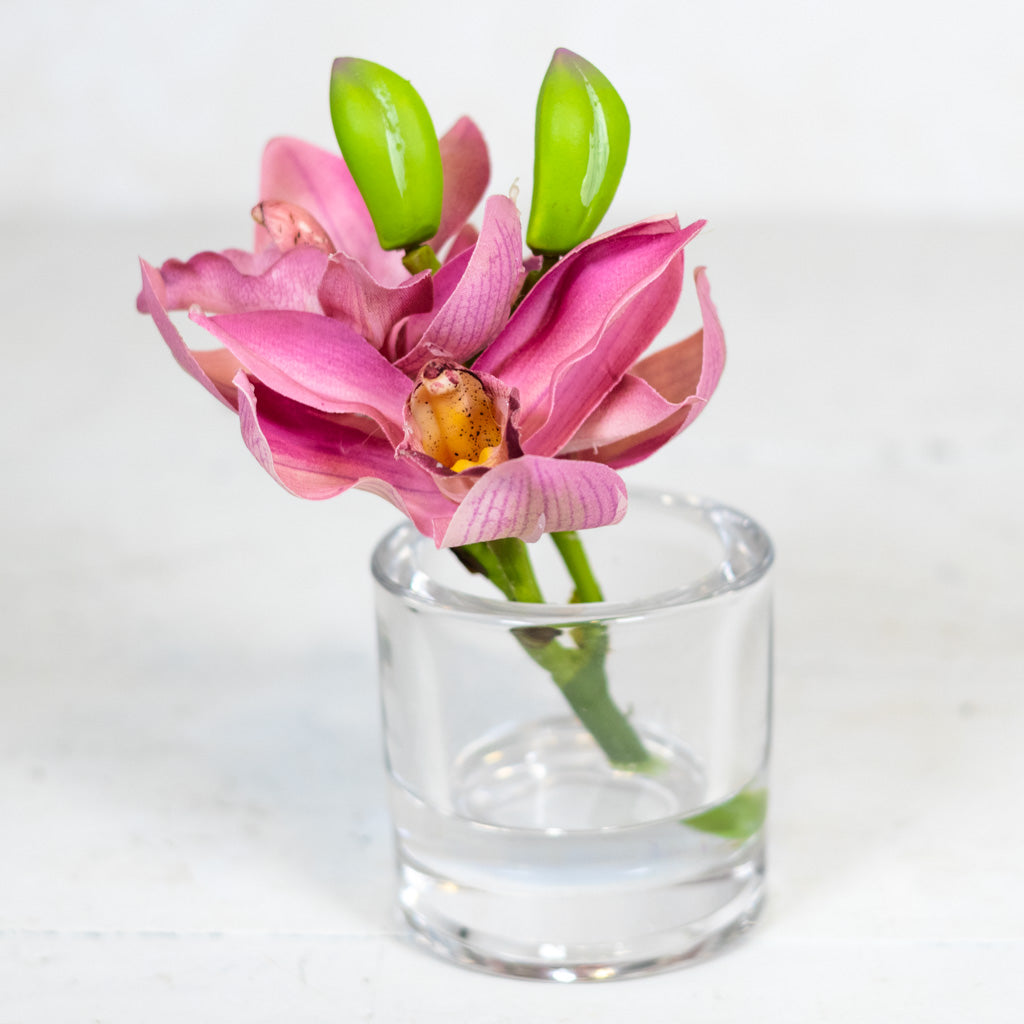 Rose Cymbidium in Illusion Glass Vase