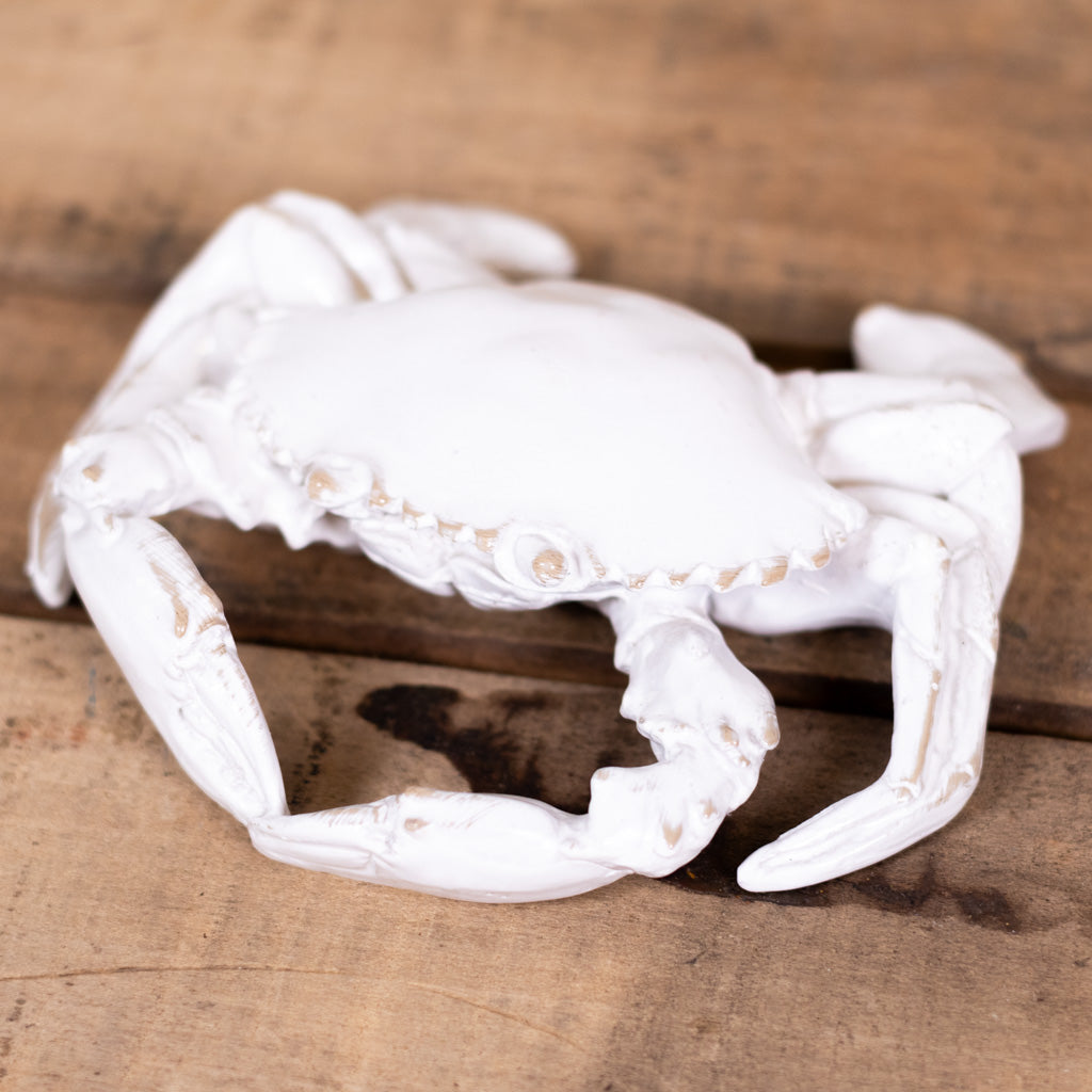 Resin White Sea Crab