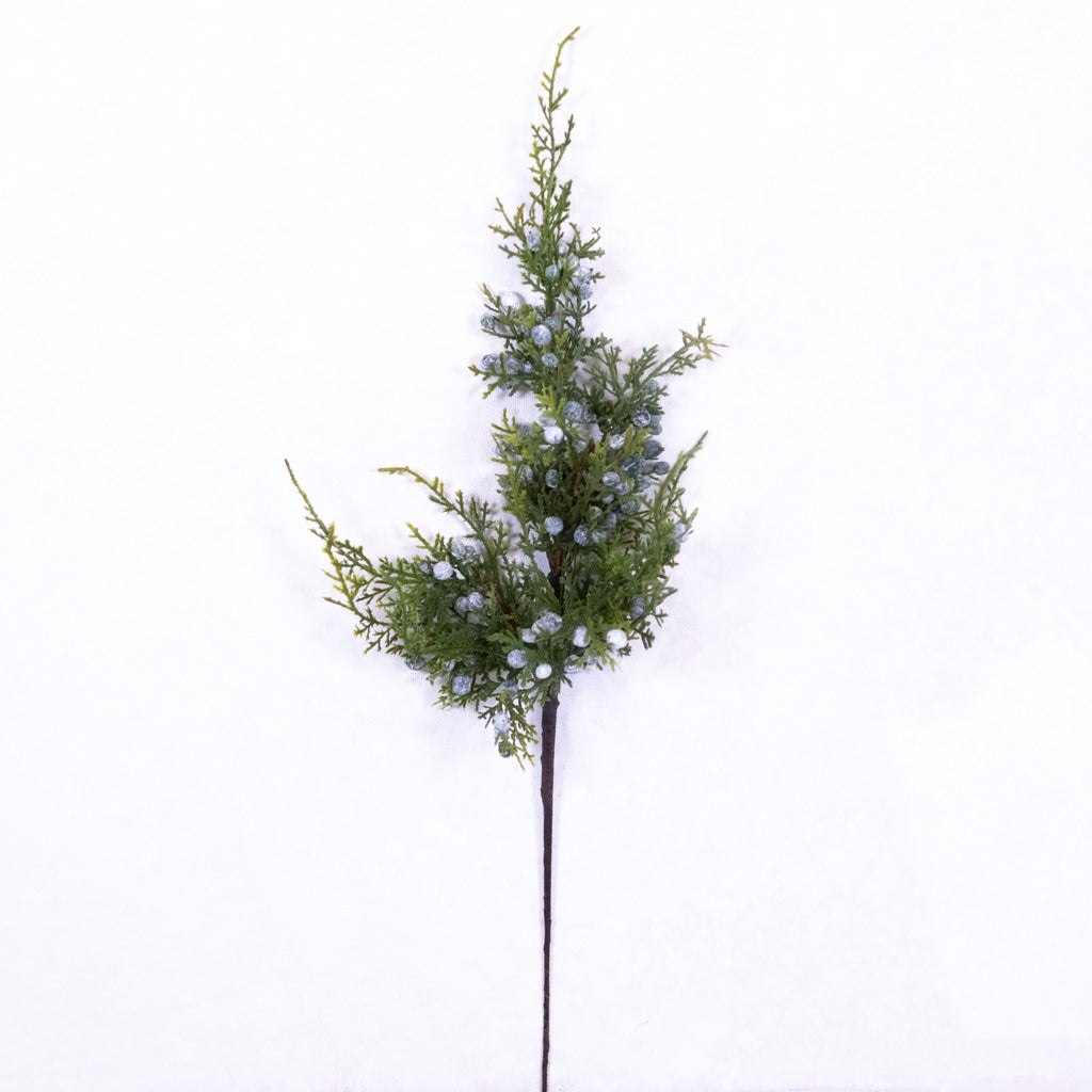 Juniper Spray with Berries Stem