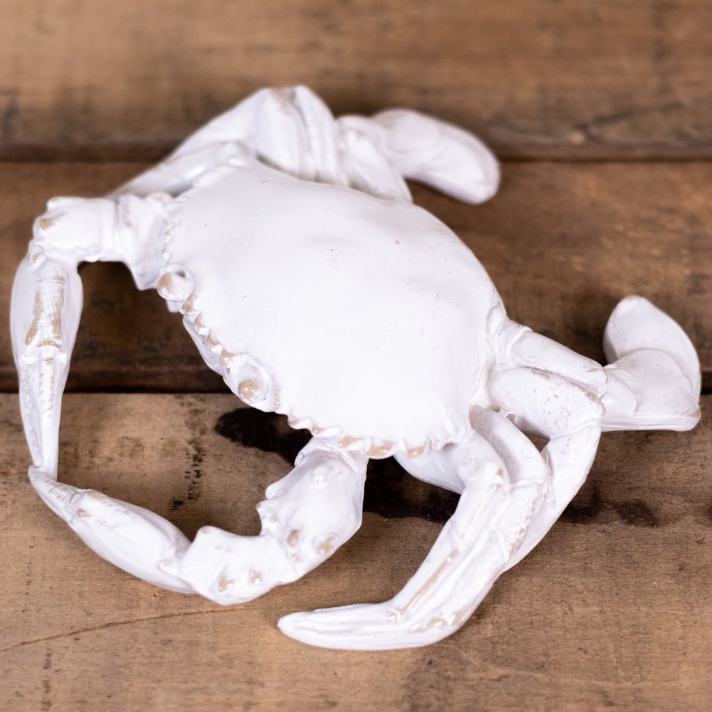 Resin White Sea Crab