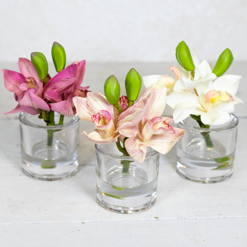 Pink Cymbidium in Illusion Glass Vase