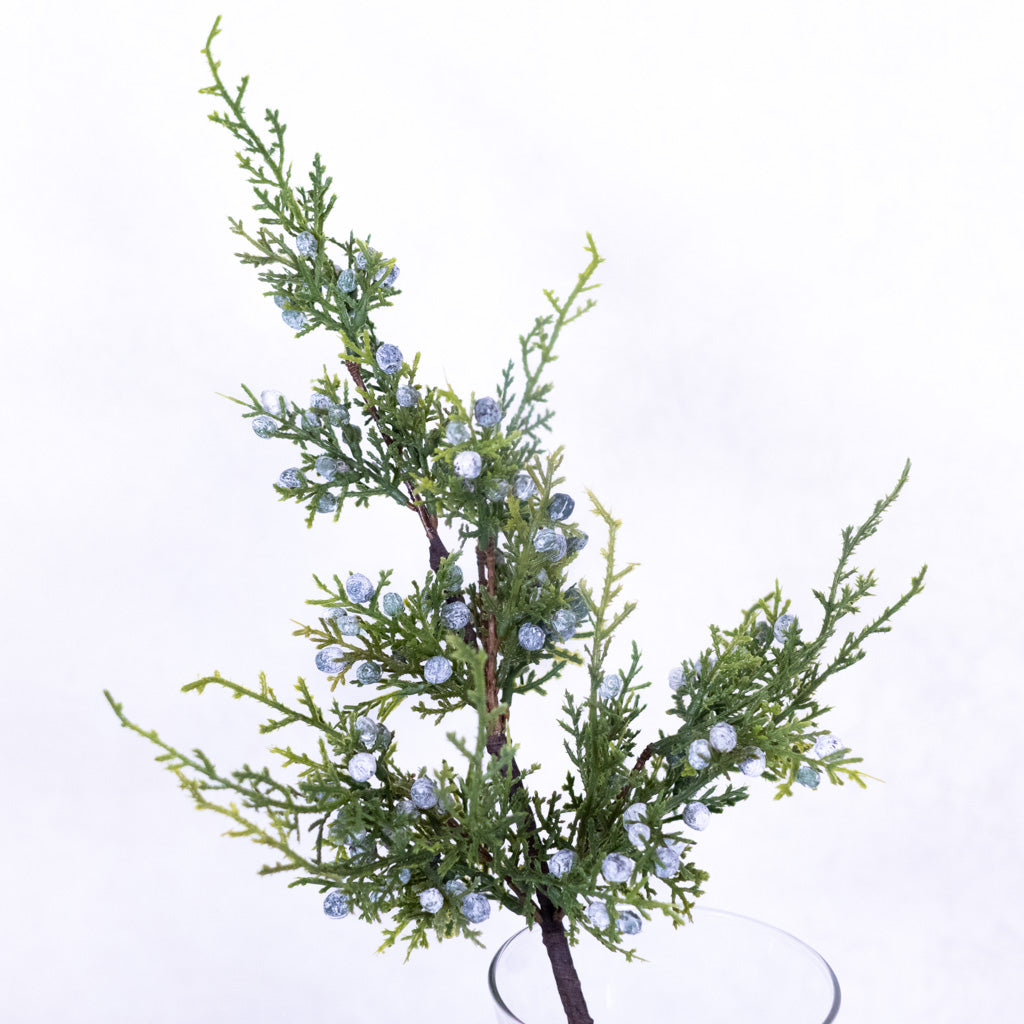 Juniper Spray with Berries Stem
