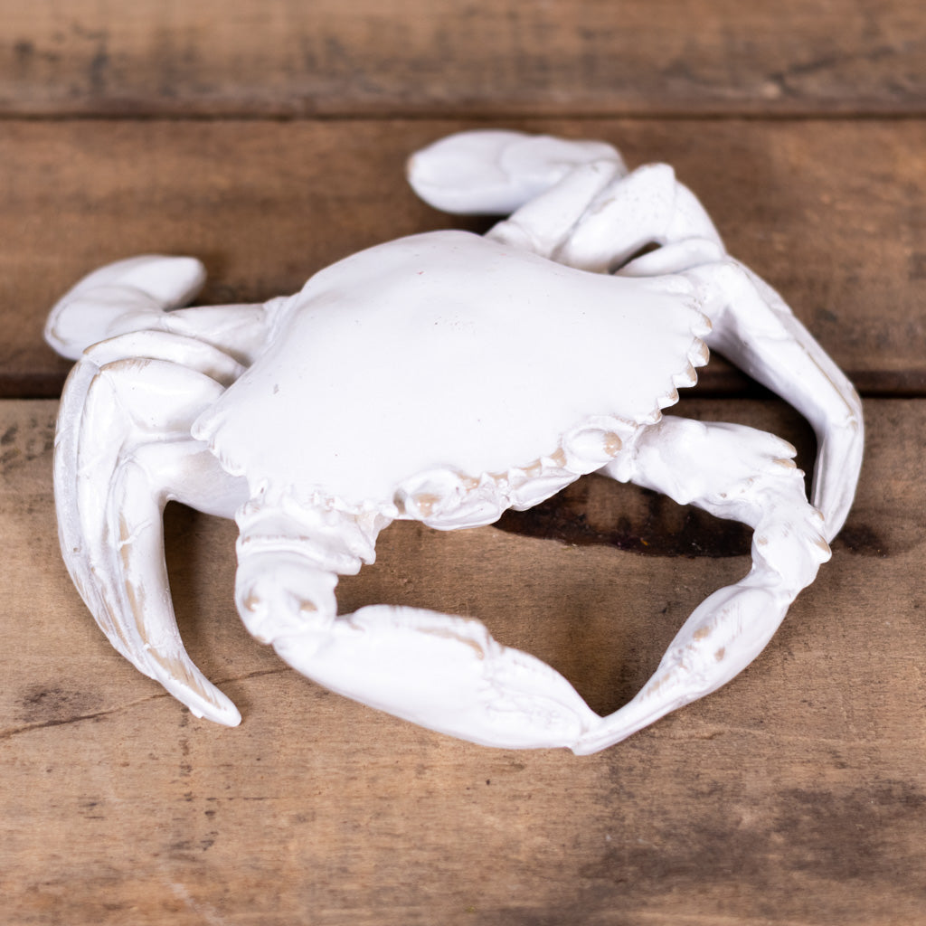 Resin White Sea Crab