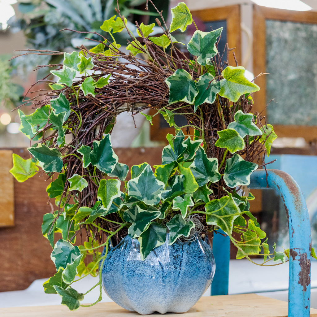 Ivy Wreath Potted Drop In