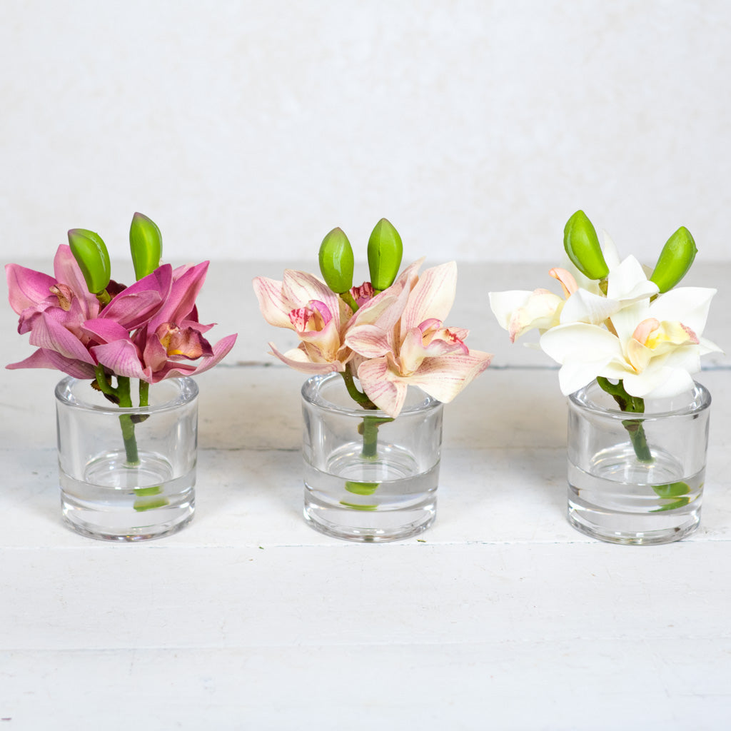Pink Cymbidium in Illusion Glass Vase