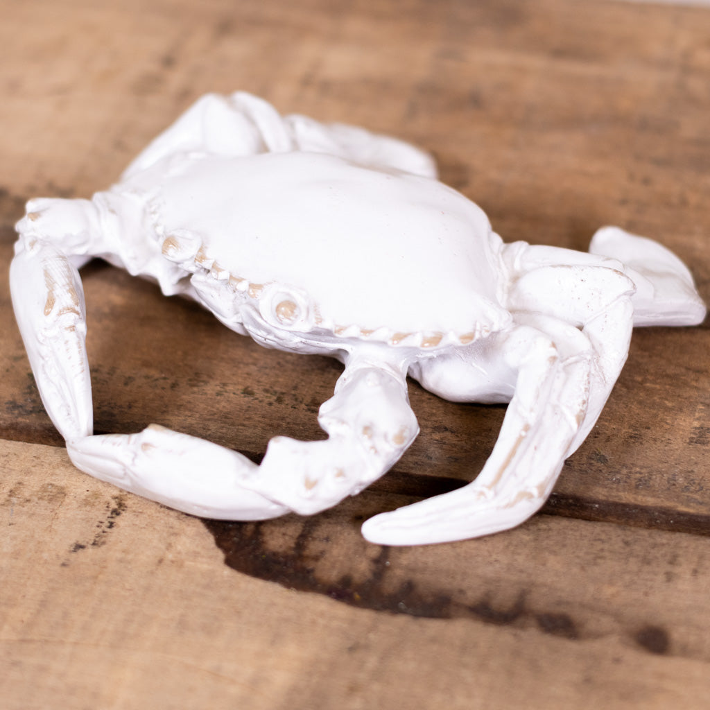 Resin White Sea Crab