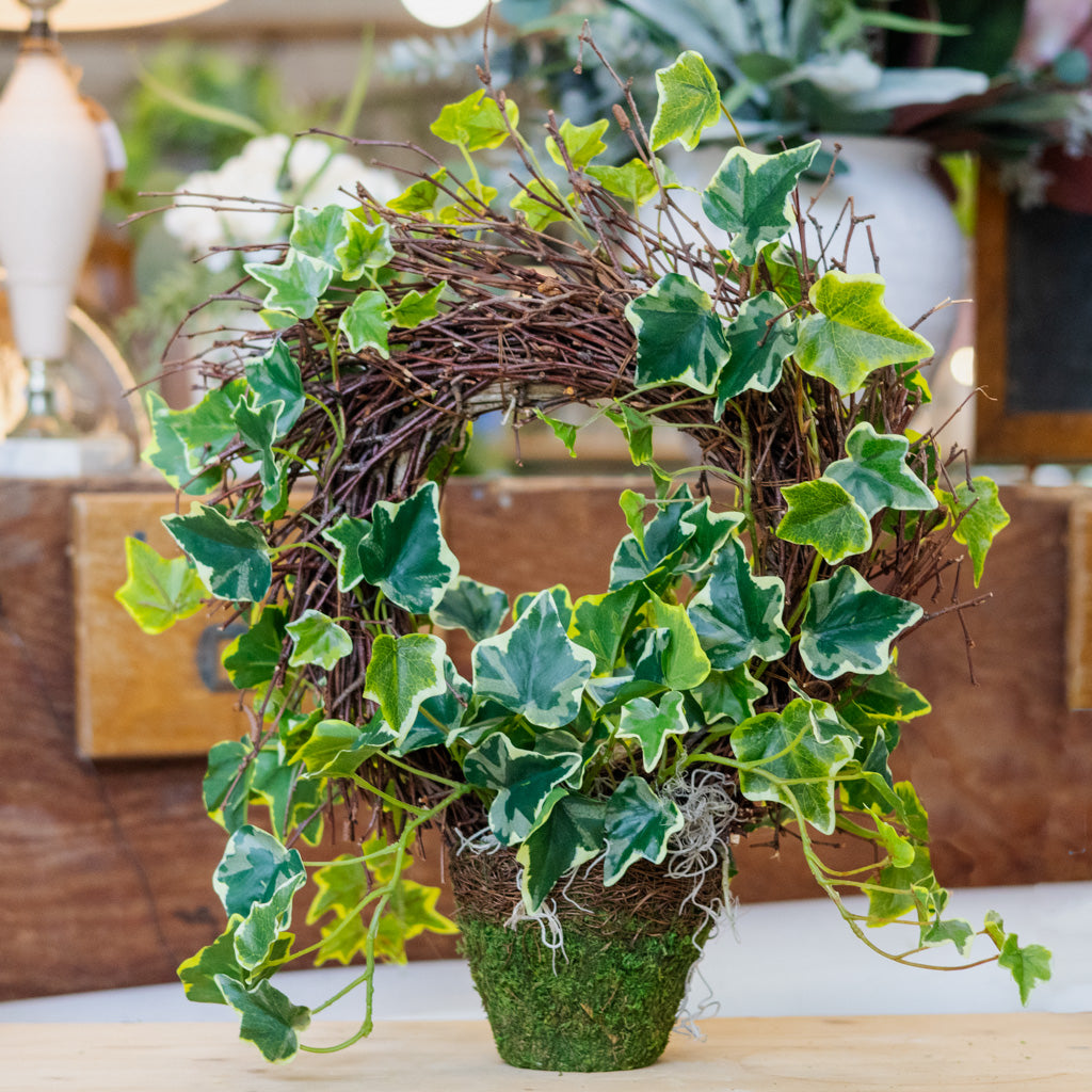 Ivy Wreath Potted Drop In