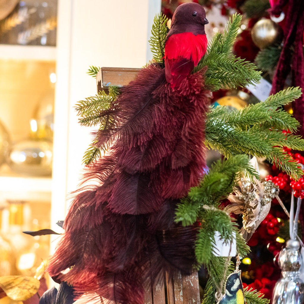 Bird with Red Ostrich Tail and Clip