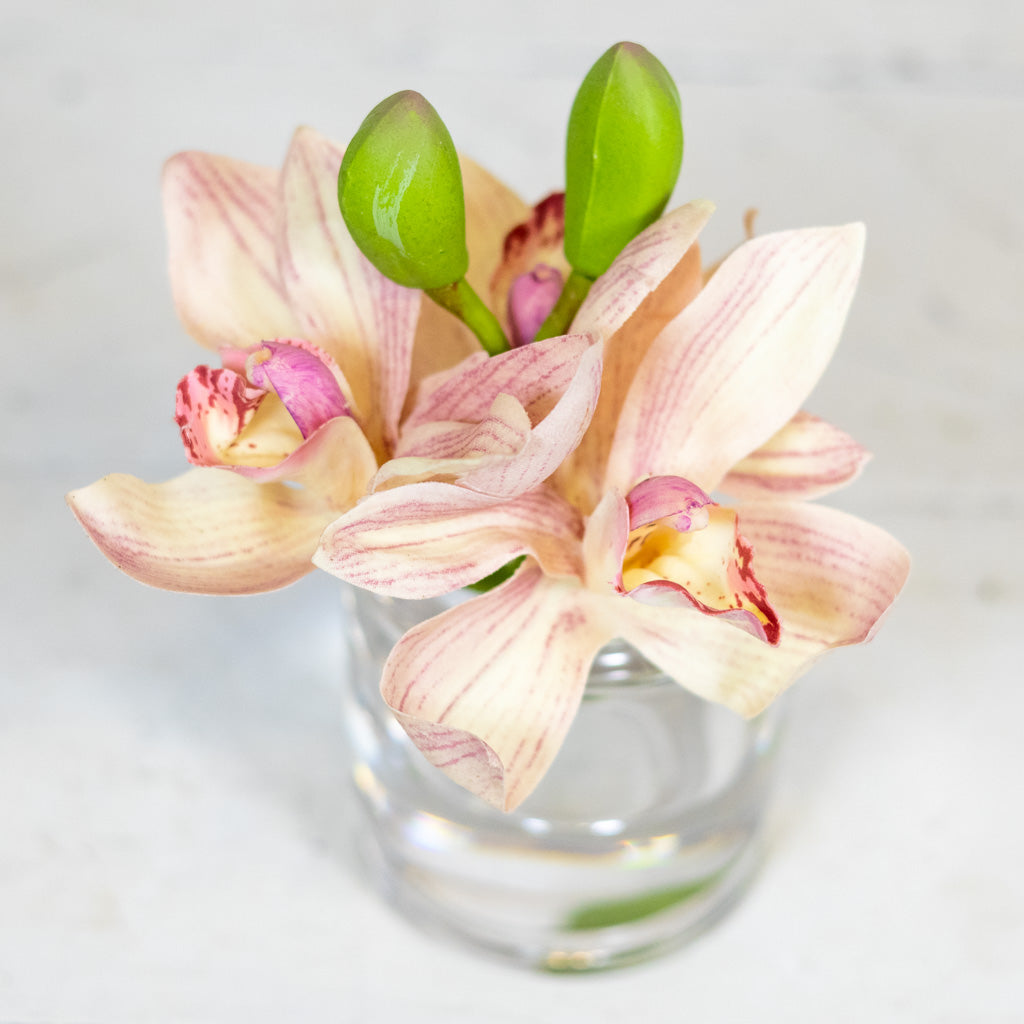 Pink Cymbidium in Illusion Glass Vase