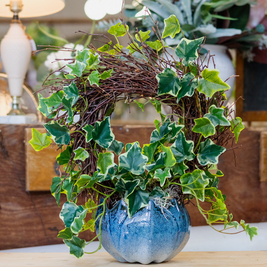 Ivy Wreath Potted Drop In