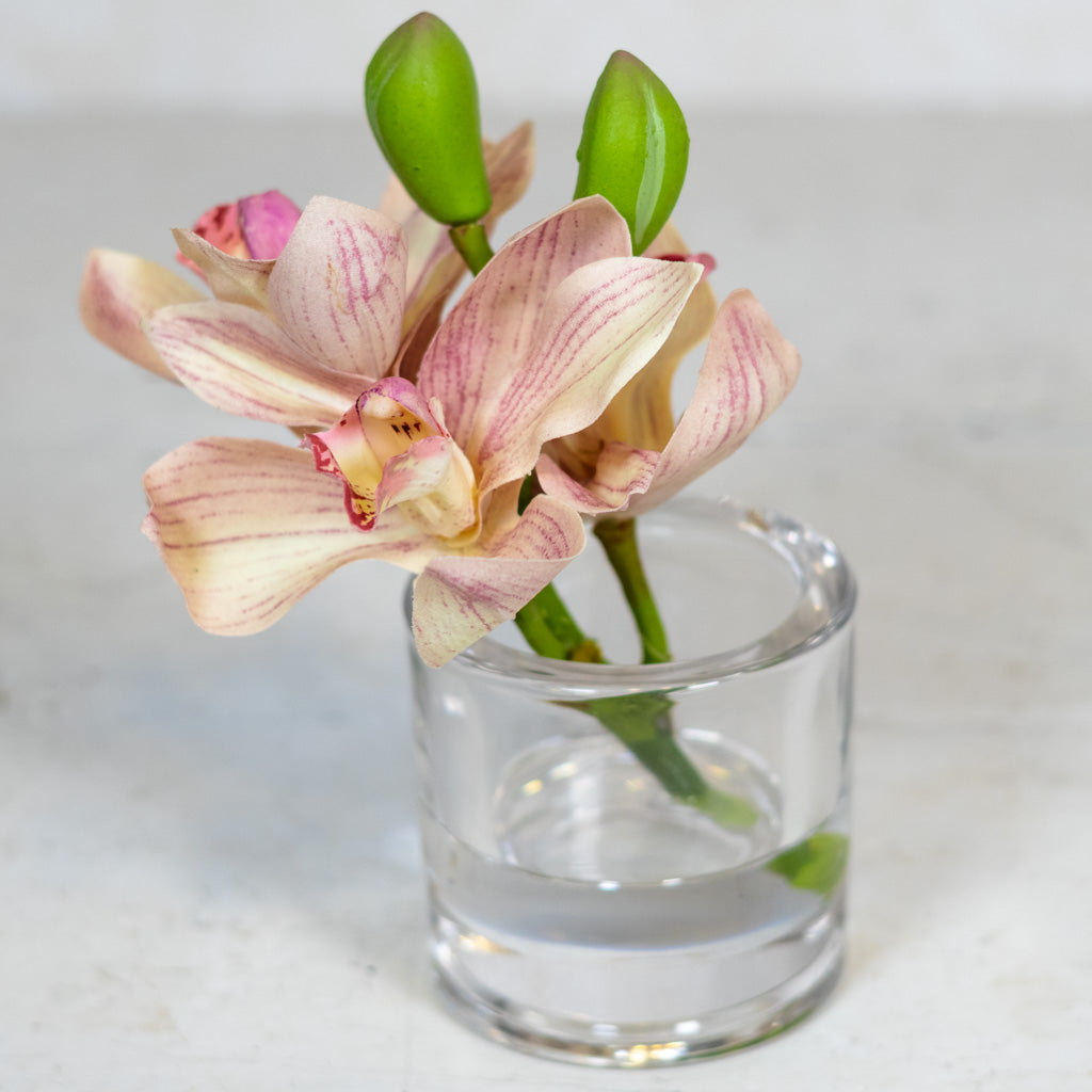Pink Cymbidium in Illusion Glass Vase