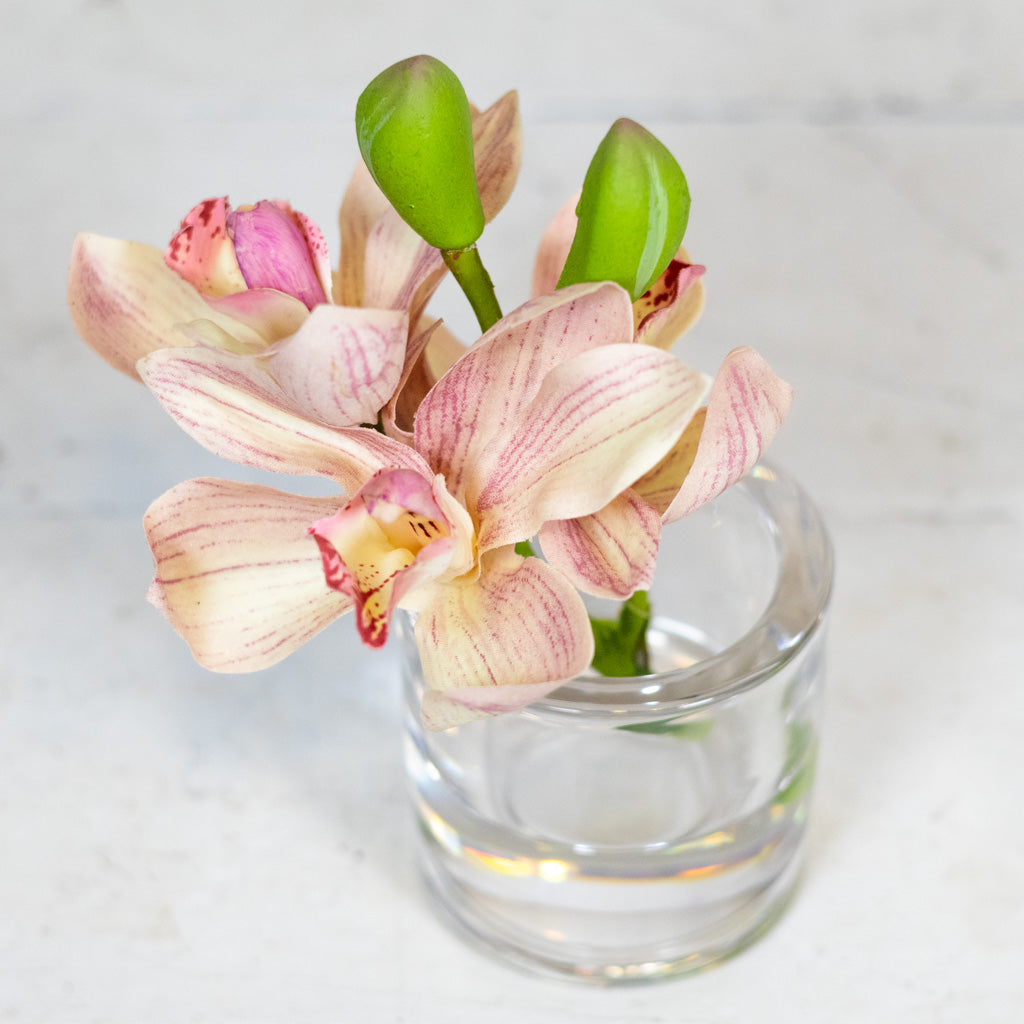Pink Cymbidium in Illusion Glass Vase