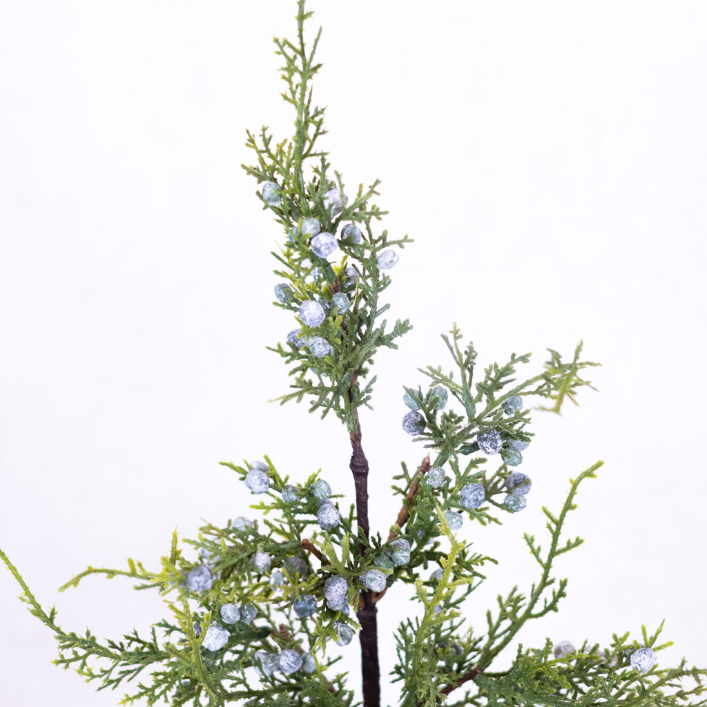 Juniper Spray with Berries Stem