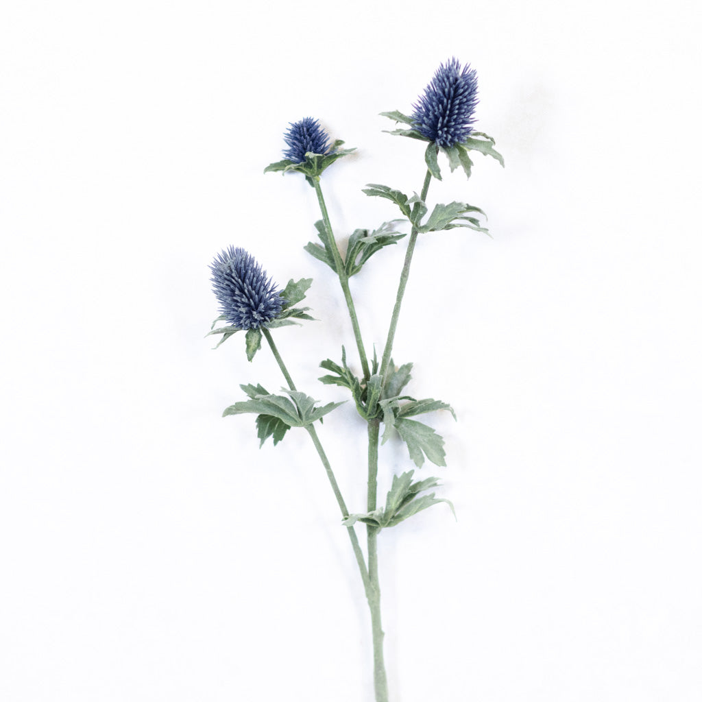 Blue Thistle Spray