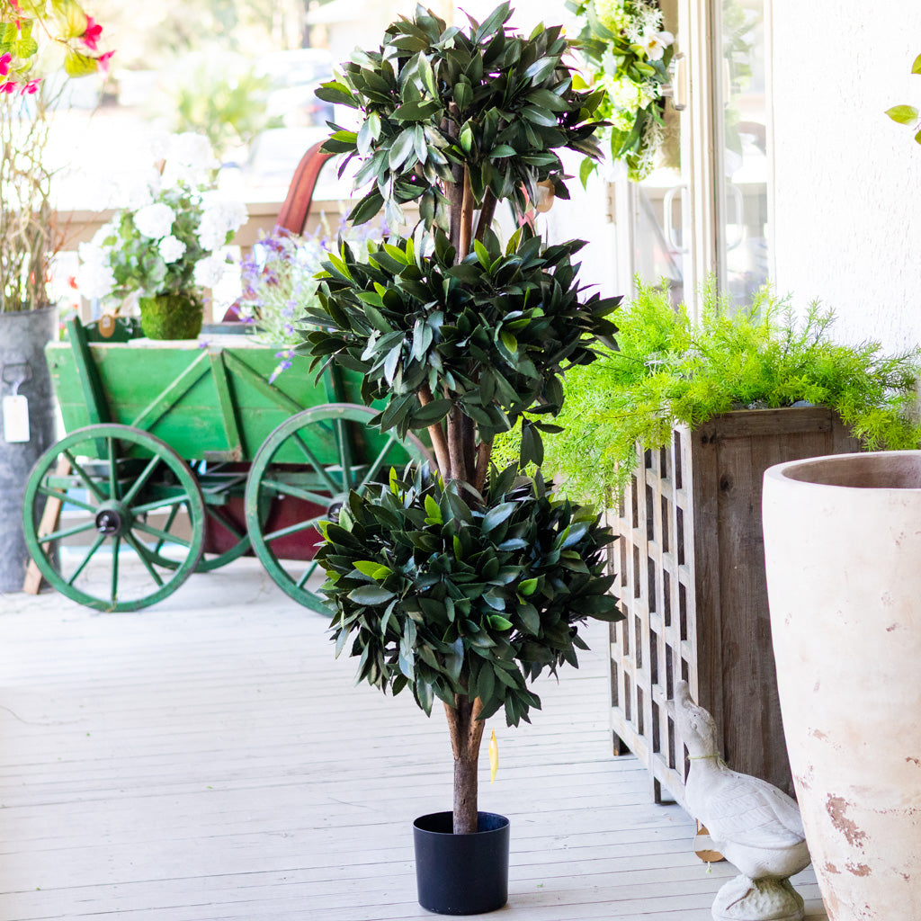 UV Bay Laurel Triple Ball Topiary 60"