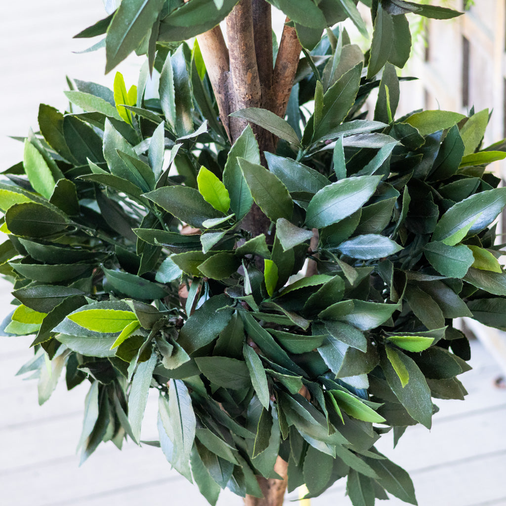 UV Bay Laurel Triple Ball Topiary 60"