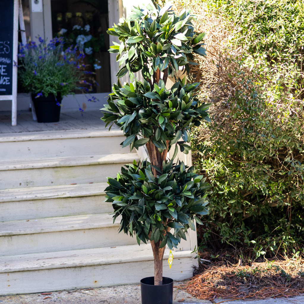 UV Bay Laurel Triple Ball Topiary 60"
