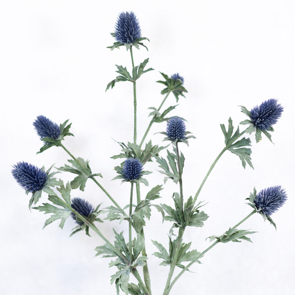 Blue Thistle Spray