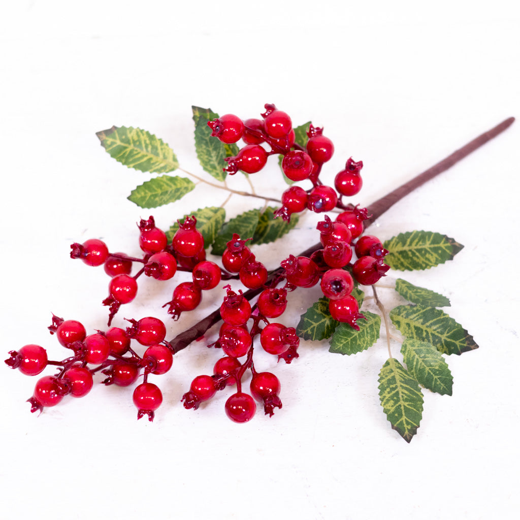 Red Rosehip Pick
