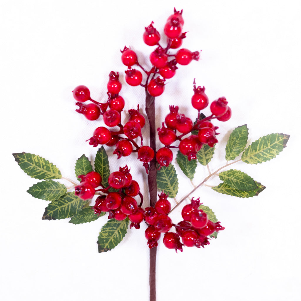 Red Rosehip Pick
