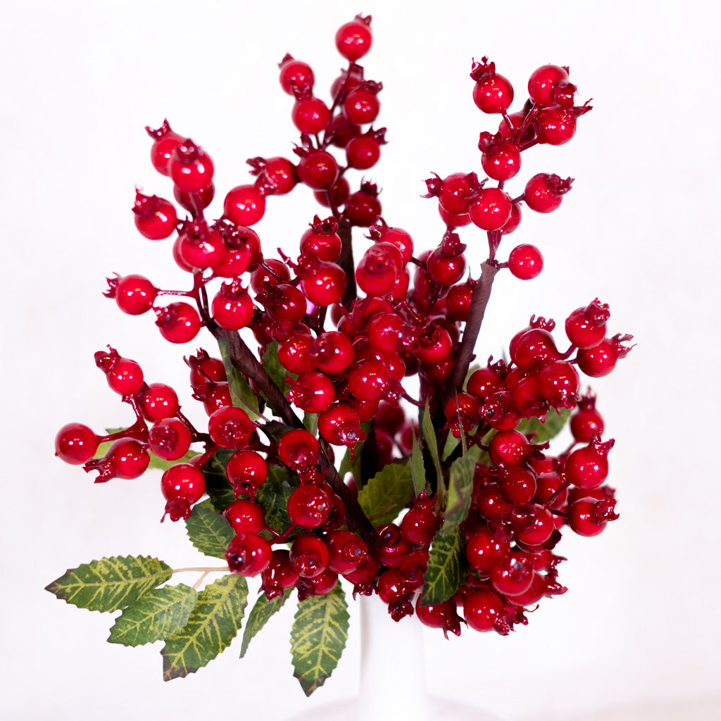 Red Rosehip Pick