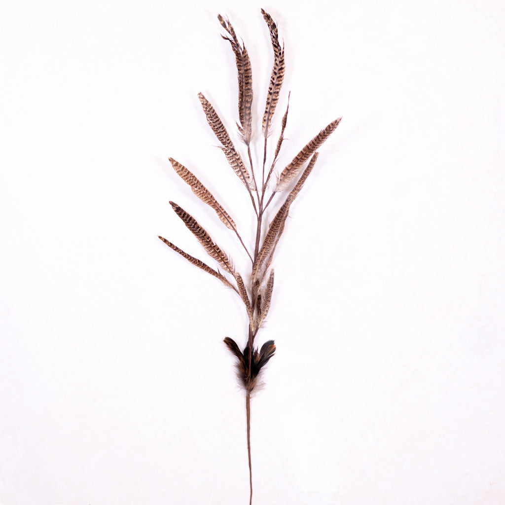 Pheasant Feather Spray