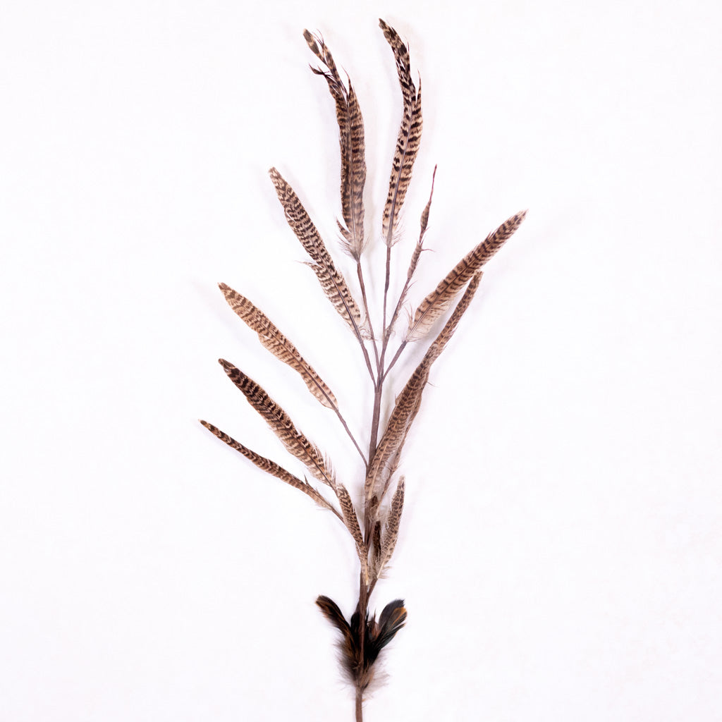 Pheasant Feather Spray
