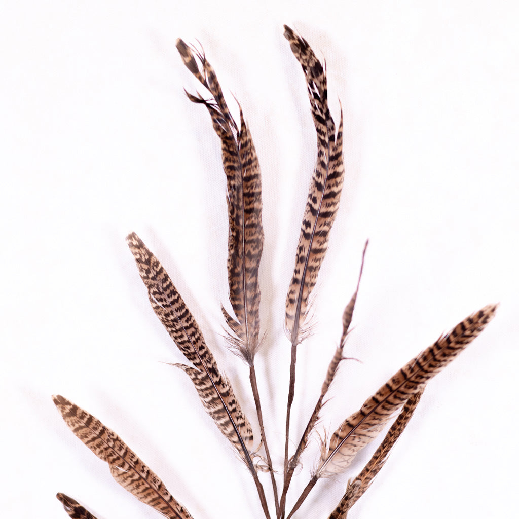 Pheasant Feather Spray