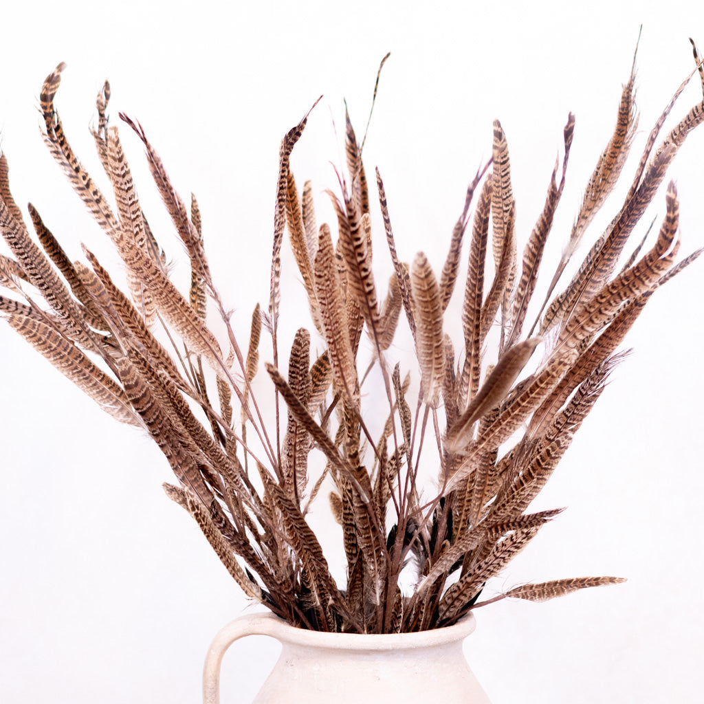 Pheasant Feather Spray
