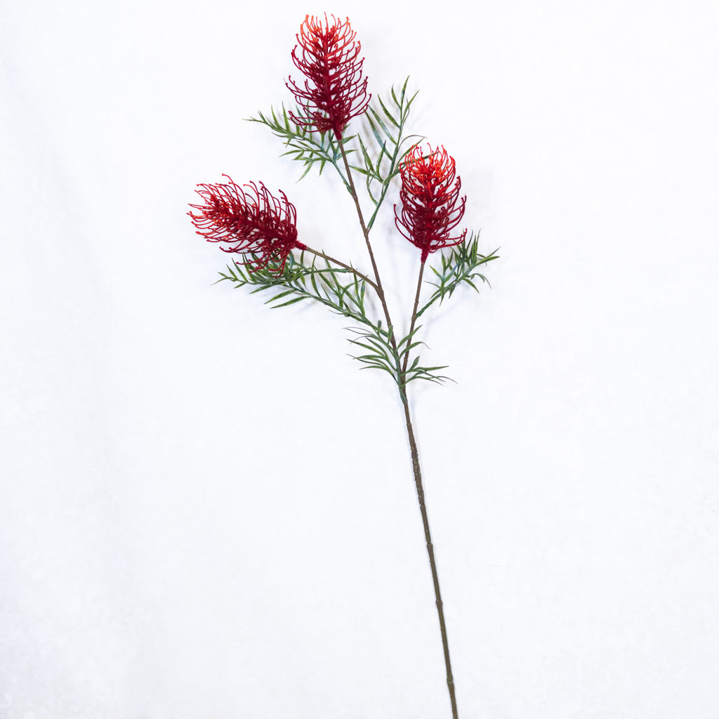 Grevillea Banksii Red Spray