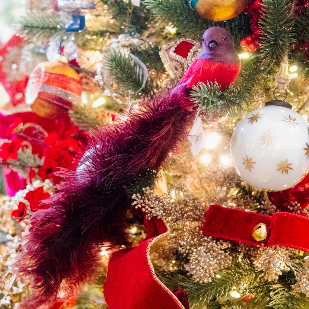 Bird with Red Ostrich Tail and Clip