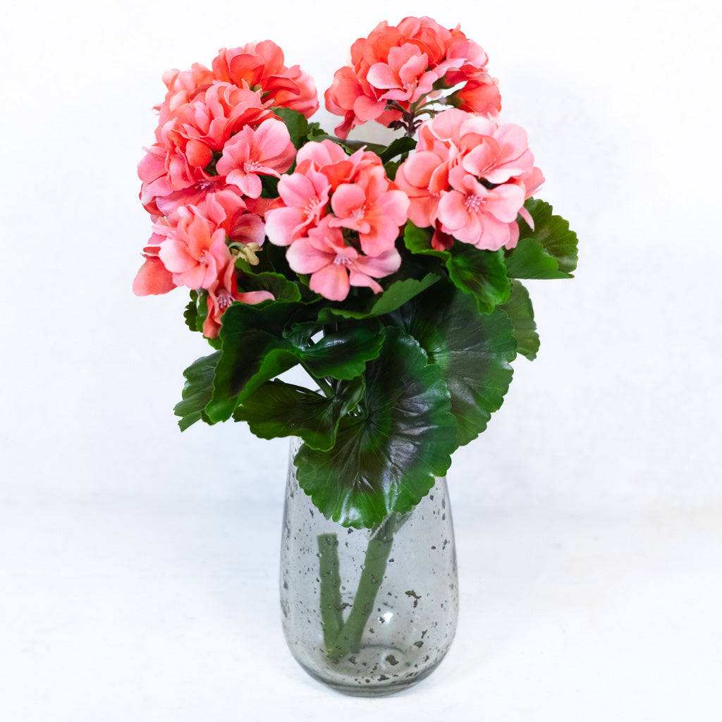 UV Salmon Geranium Bush Natural Touch