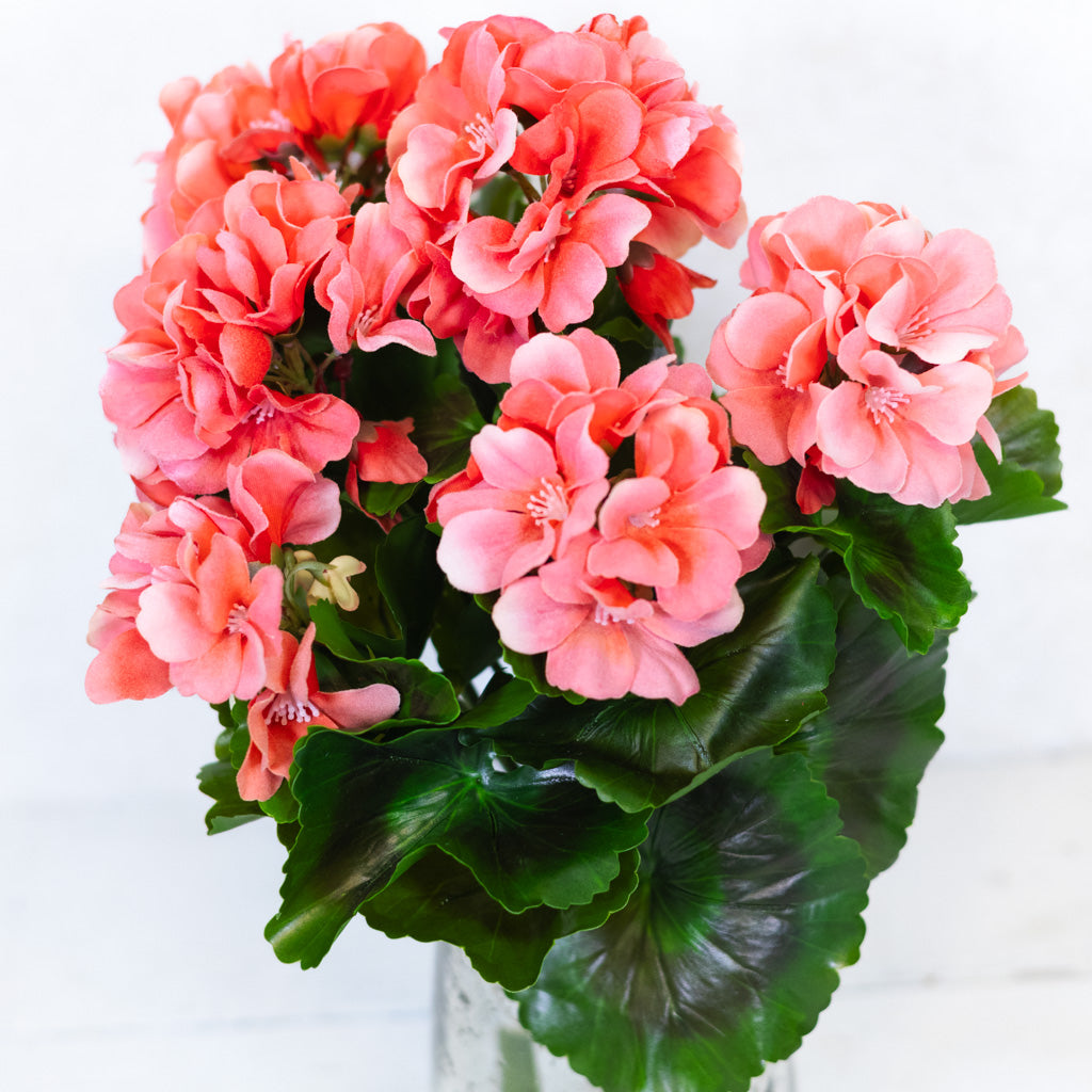 UV Salmon Geranium Bush Natural Touch