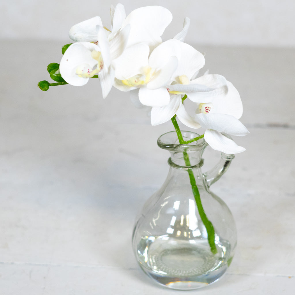 White Phalaenopsis in Glass with Handle