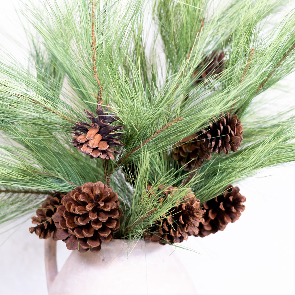 Long Needle Pine and Pinecone Spray