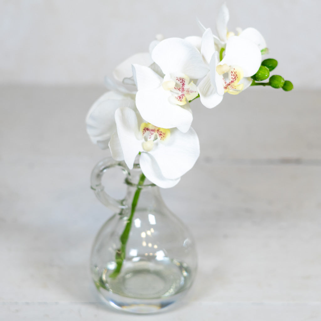 White Phalaenopsis in Glass with Handle