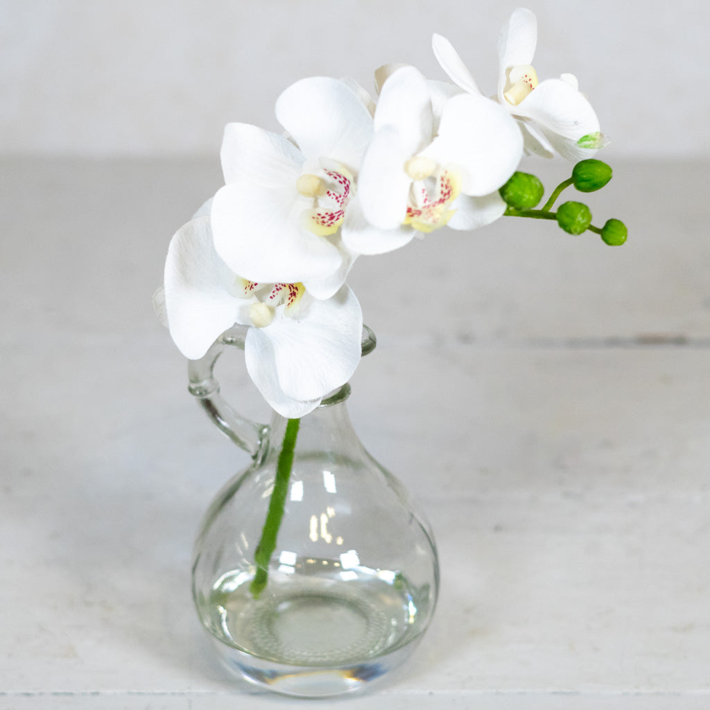 White Phalaenopsis in Glass with Handle