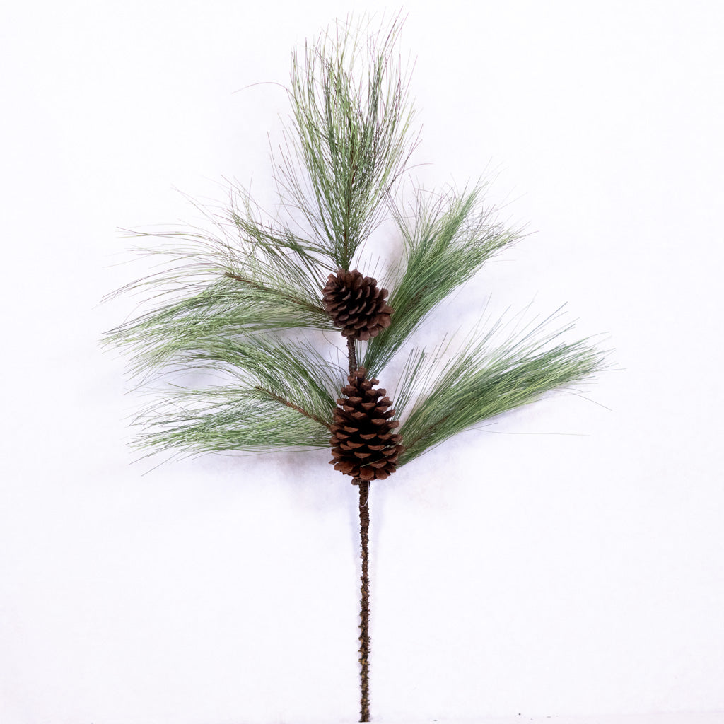 Long Needle Pine and Pinecone Spray