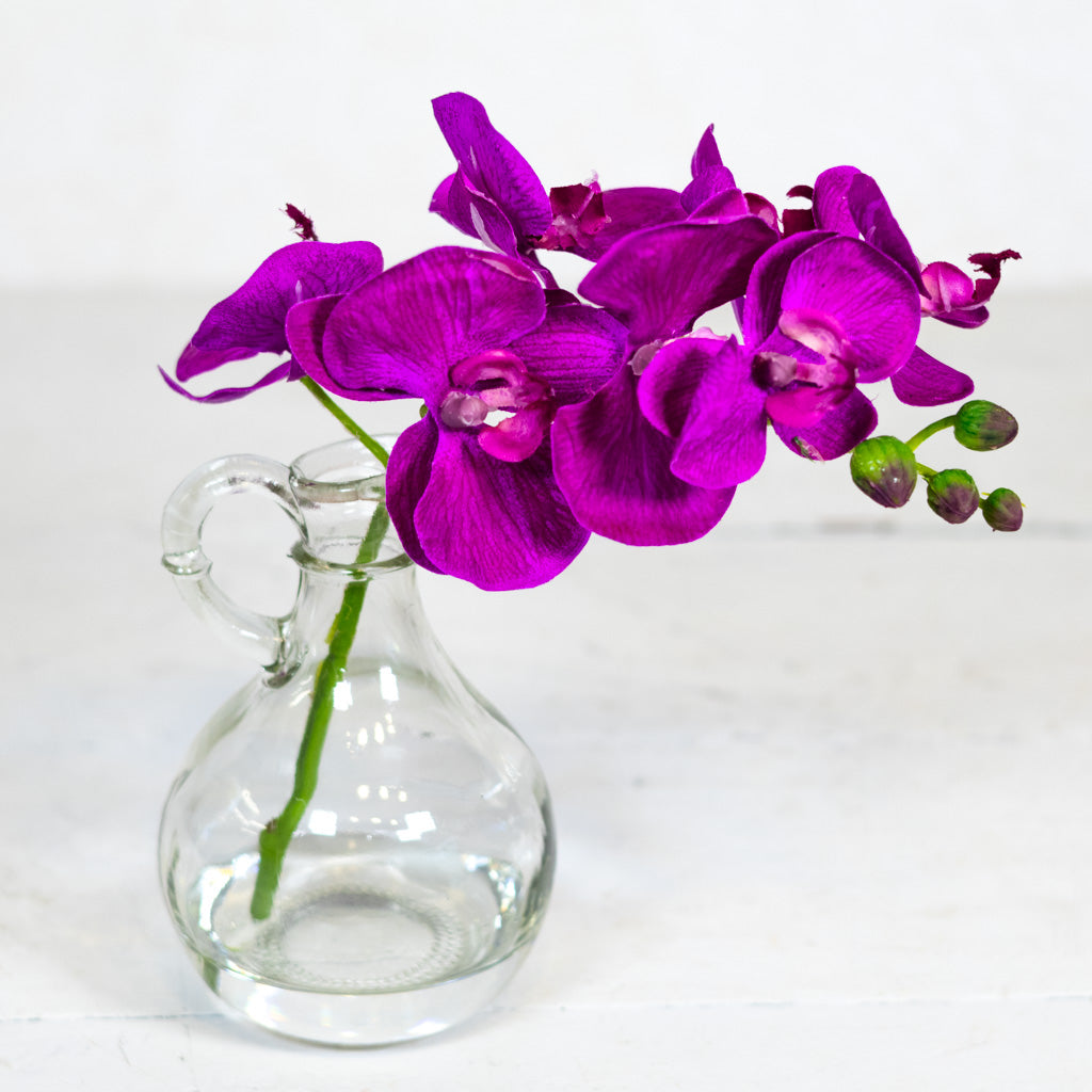 Dark Purple Phalaenopsis in Glass with Handle