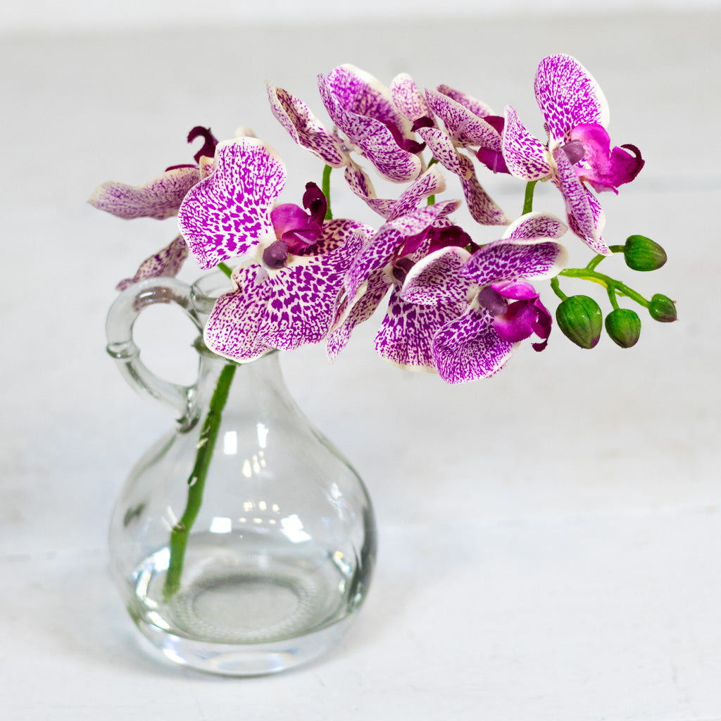 Fuchsia Phalaenopsis in Glass with Handle