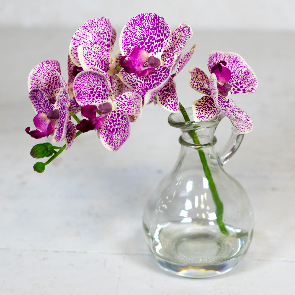Fuchsia Phalaenopsis in Glass with Handle