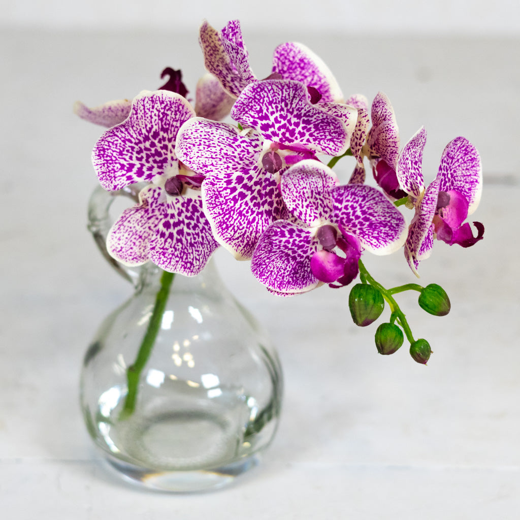 Fuchsia Phalaenopsis in Glass with Handle