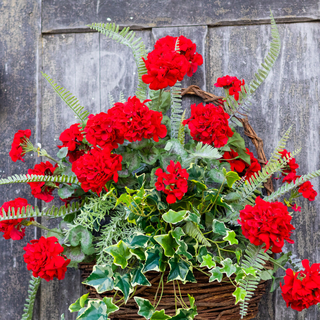 Heritage Red Geranium Drop In