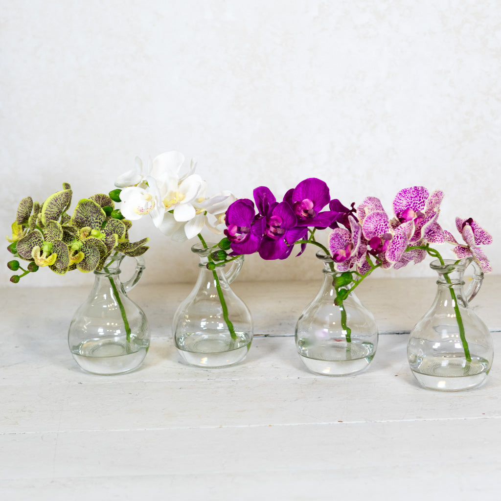 Dark Purple Phalaenopsis in Glass with Handle