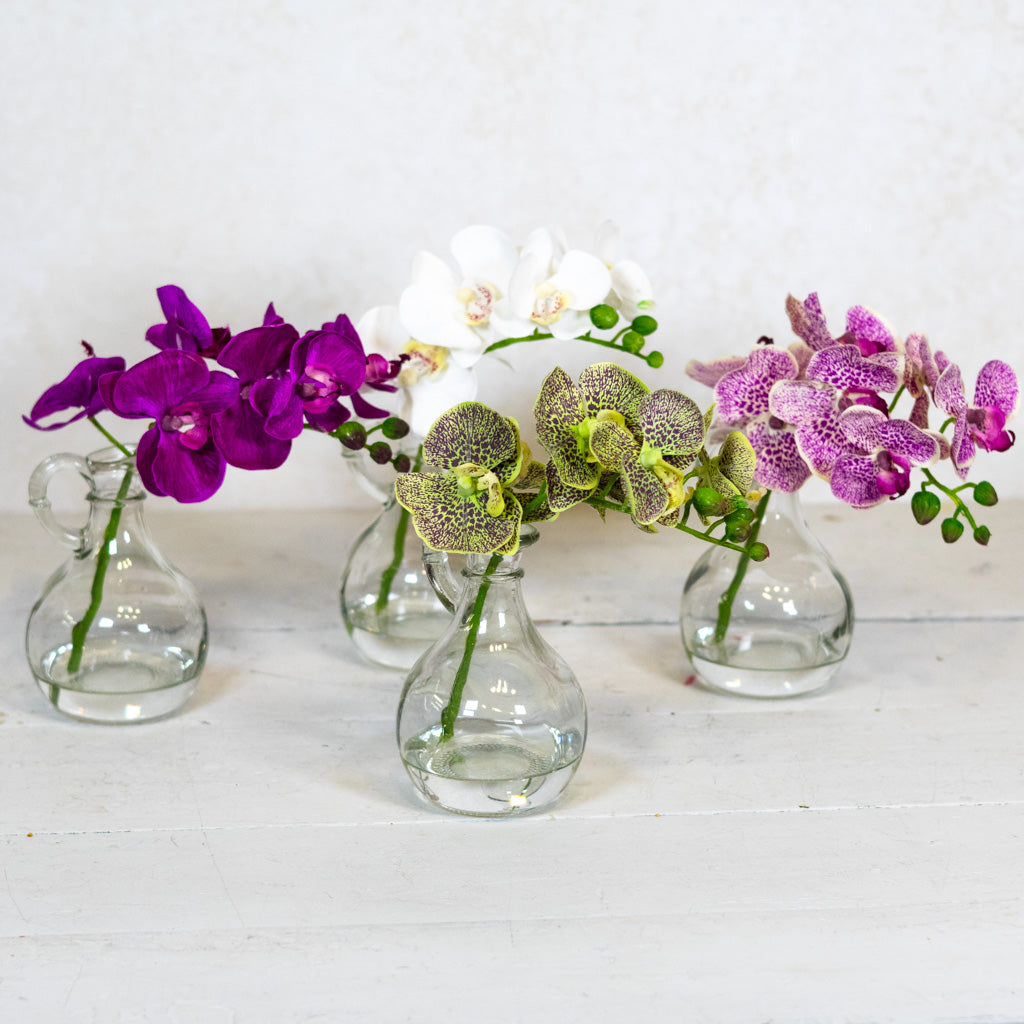 Green Phalaenopsis in Glass with Handle