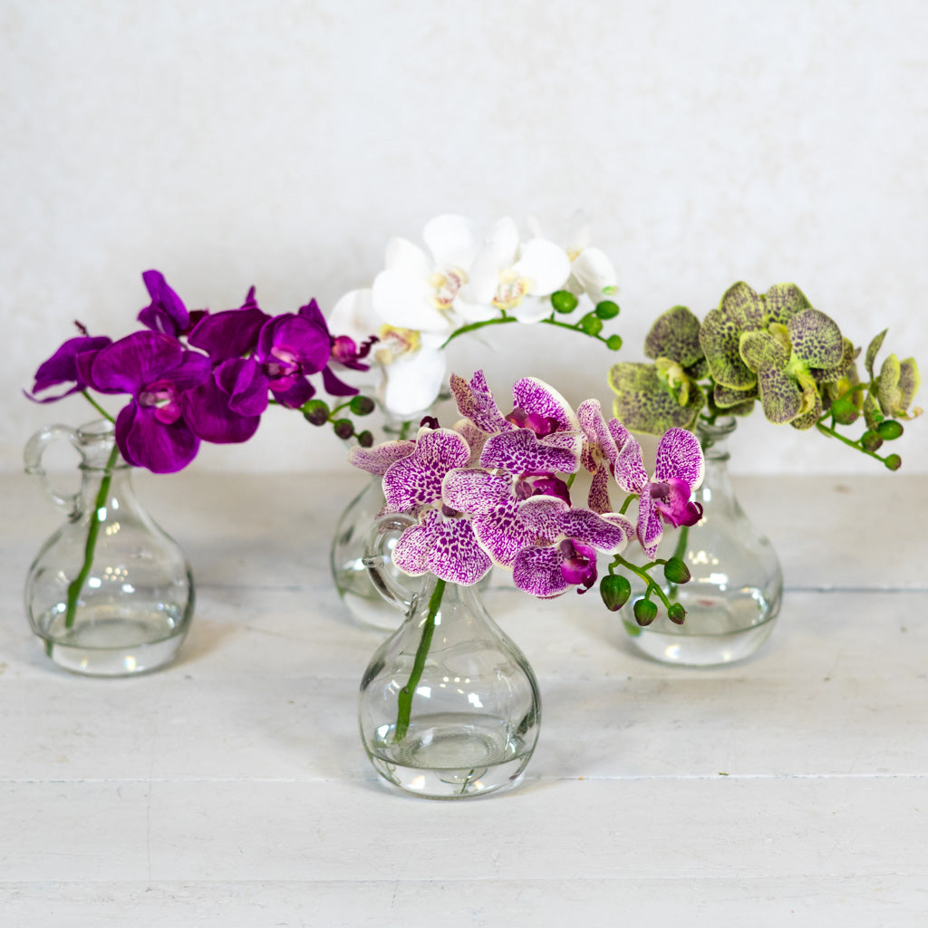 Fuchsia Phalaenopsis in Glass with Handle