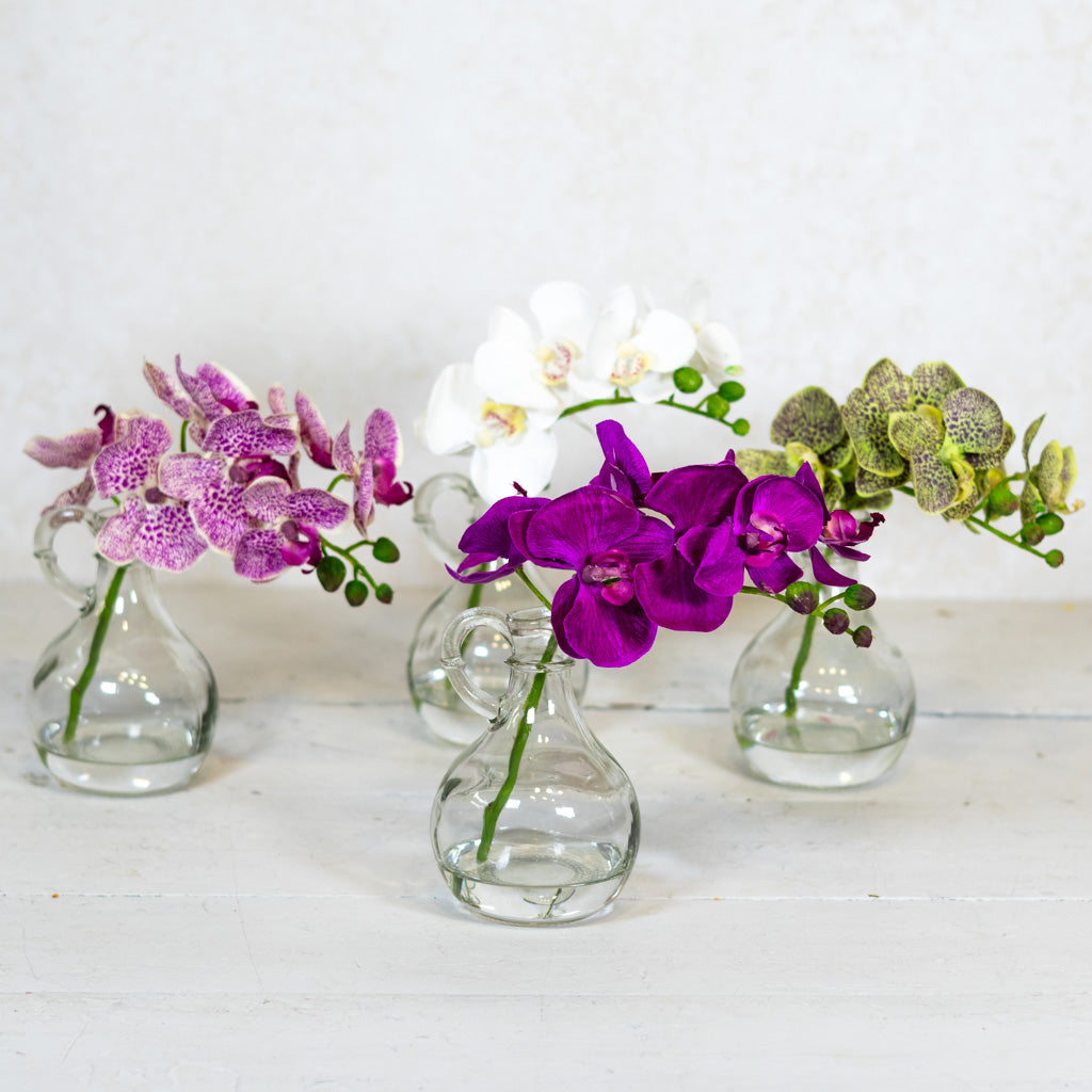 Dark Purple Phalaenopsis in Glass with Handle